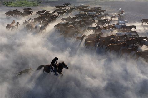 capital city of iceland|Photos of the Week: Corgi Race, Tomato Fight, Hammer Throw.